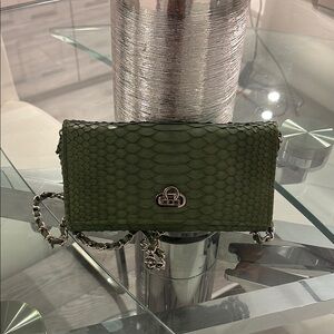 Green snakeskin Clutch with Silver Chain